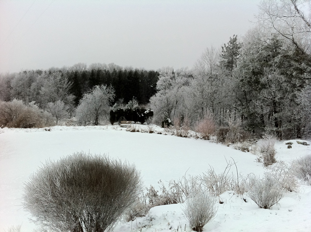 Frozen Pond