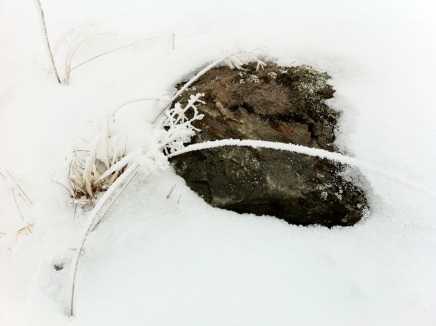 rock and blade of grass