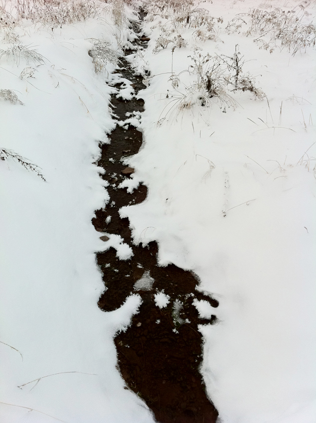 snowflakes in stream