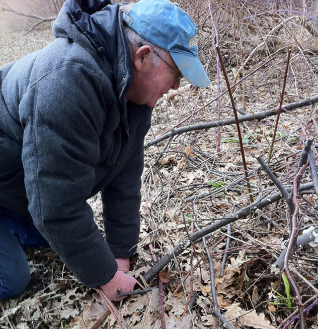 Hitch showing us snowdrops.