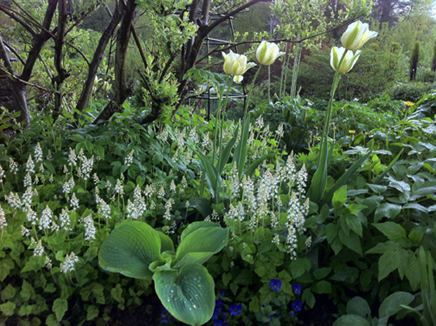 Spring Green Tulips foam flower