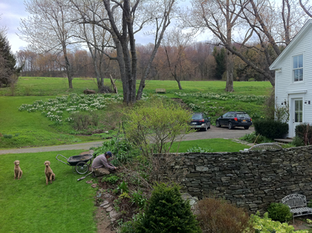 Time in the spring garden