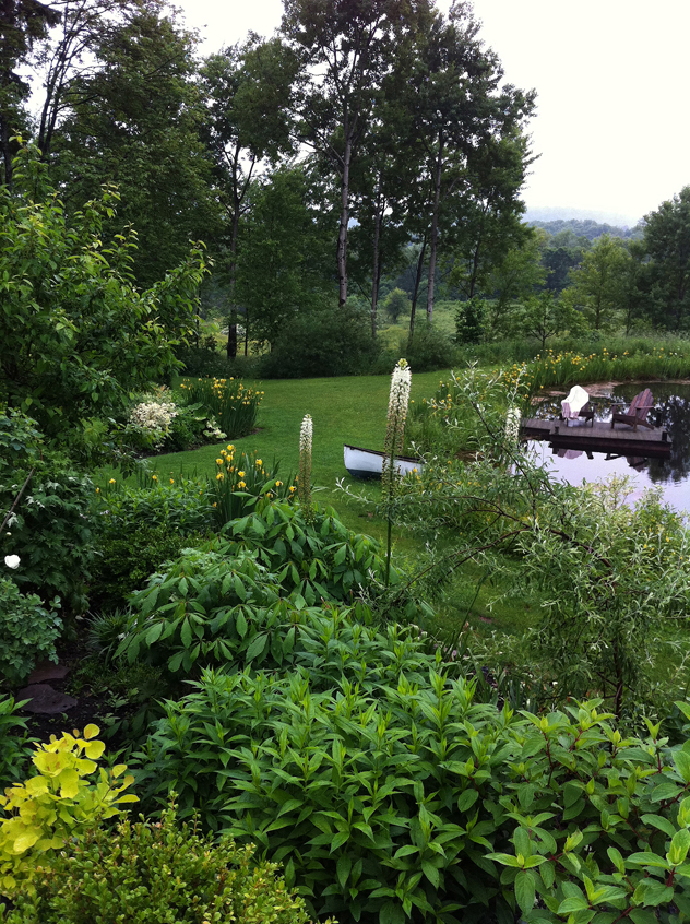 Planting Influenced by Meadow