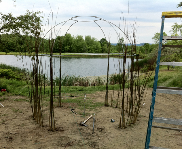 armature of chuppah- first of the willow rods planted