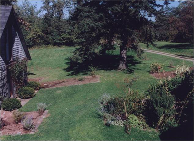 Before shot: of proposed pond site