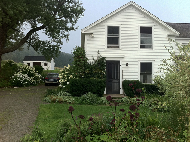 August view of entry room, yews planted for dark green foliage