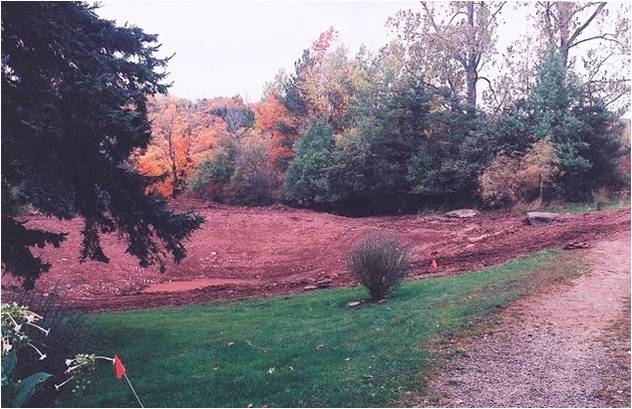 Before shot: pond being dug. arctic willow