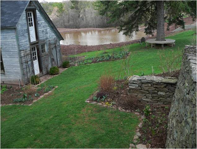 pond filled up 2 weeks after being dug