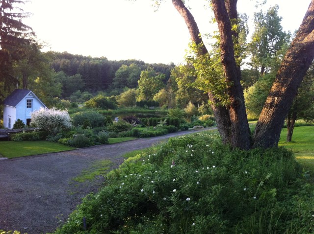View of entry garden
