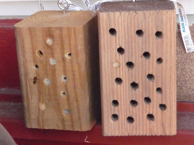 Anna West photo and bee block nest provides mason bees with a home.