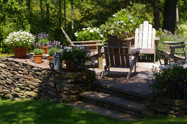 plumbago , geraniums, scaevola and lavender in pots on terrace