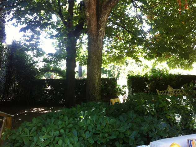 Chestnut tree planting provides shade as well- boxwood en-closer