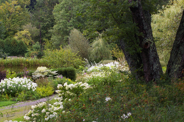 The whites predominate in the August landscape