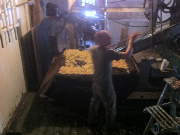 apples travel down chute to lower level for pressing