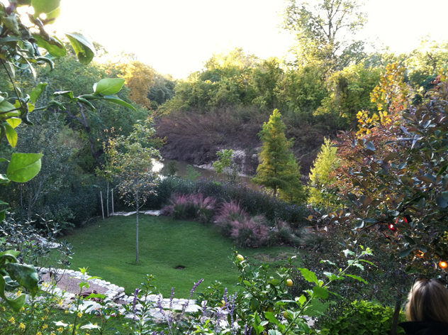 Johnny Steele's garden view of Buffalo Bayou