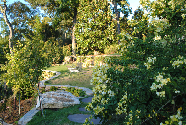 JOhnny Steele's garden terraced hillside