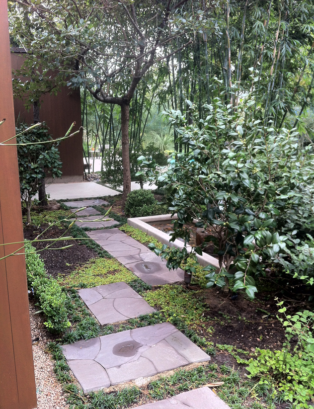 Johnny Steele- nice paths in a shade area of the garden