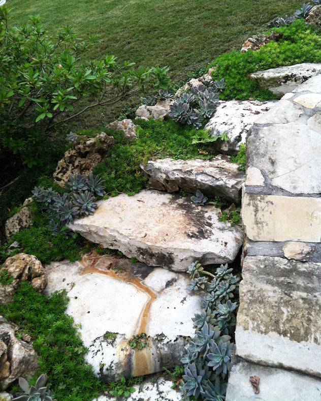 Succulents planted between stairs