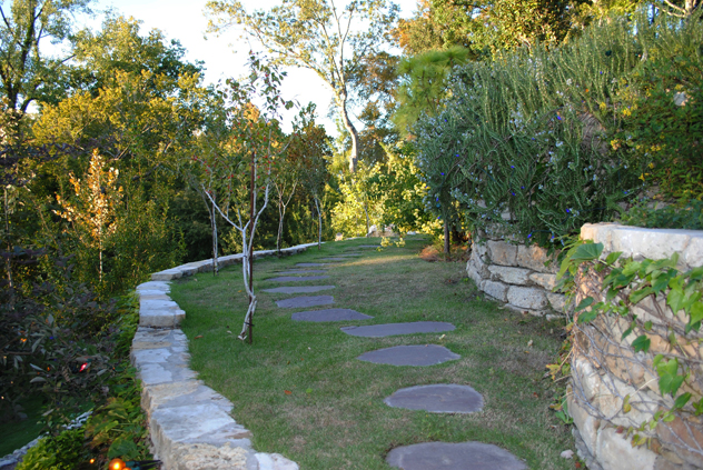 Yong trees planted along path