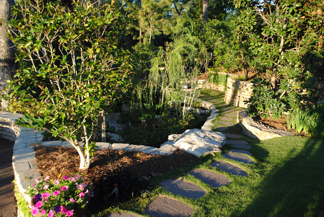 Johnny Steele's garden- paths and terracing