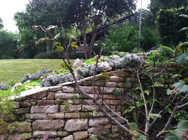 stone wall Johnny Steele garden