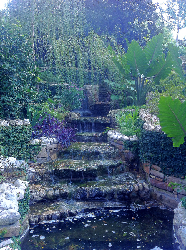 Johnny Steele garden: Waterfall