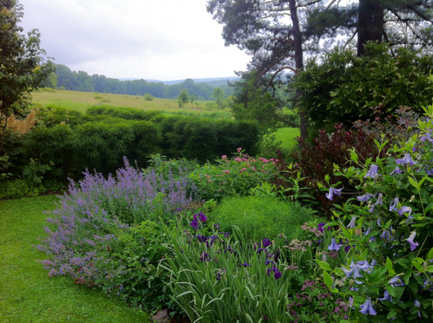 Rhamnus 'Fineline' hedge frames a distant "borrowed view."