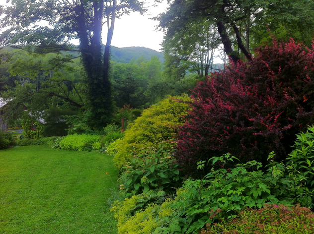 Mermer Blakeslee's "borrowed view of mountains."