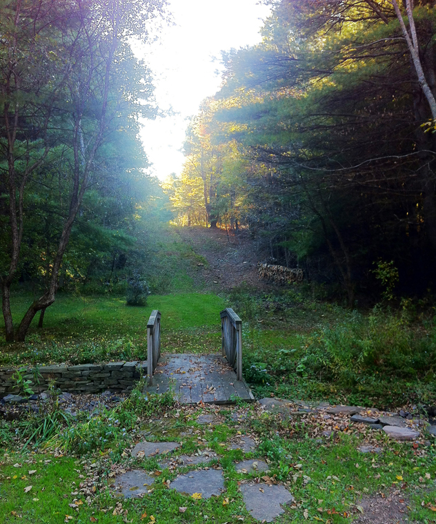 Photo 8: The same view after it was opened up to "a borrowed view."