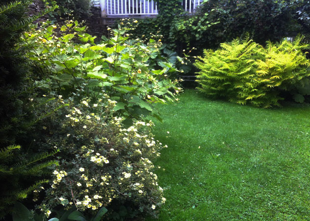 Sumac 'Tiger Eyes" joins in on the conversation.