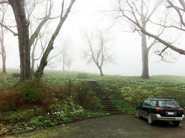 Parking area- before shot