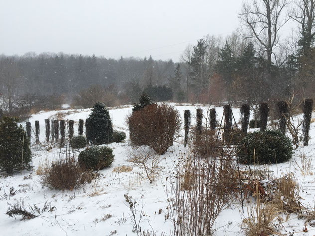 Looking through garden to pond