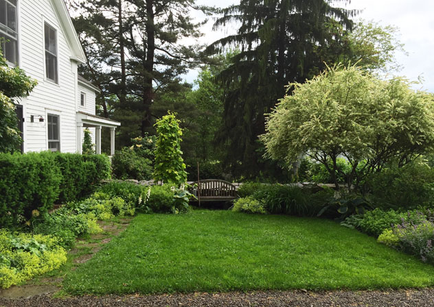 Entry garden with new willow structure and golden hops