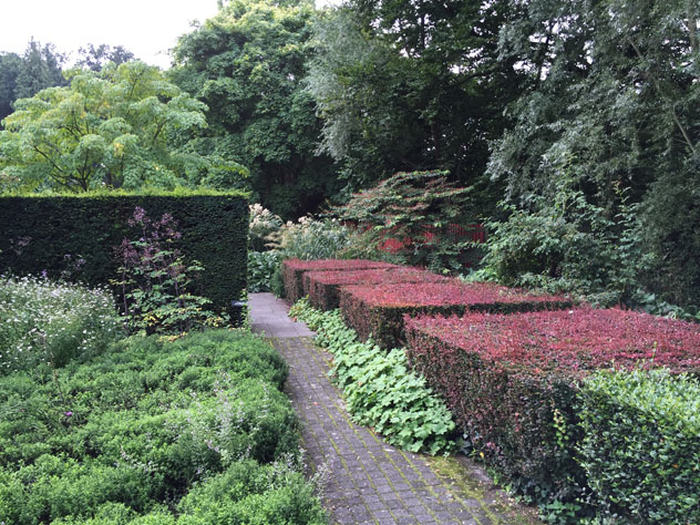 Berberis hedges create more pattern