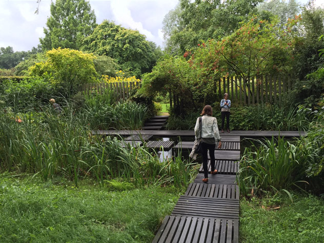 Gardener's garden today