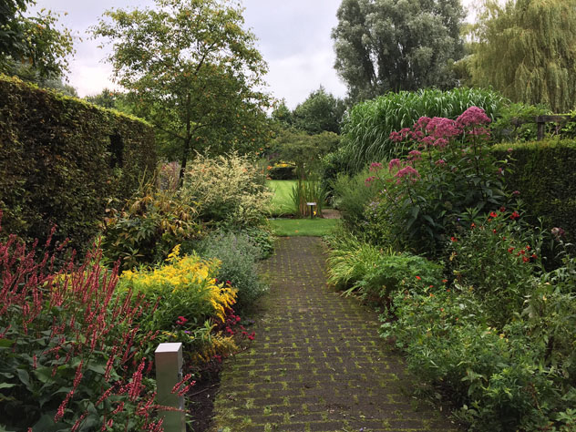 Goldenrod and Joe Pye weed