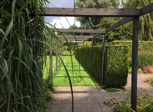 Pergola divides space overhead into positive and negative space