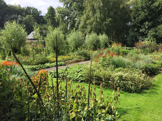 Pollarded willows create patterns at back of garden room