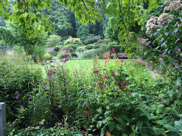 Rich layering of plants