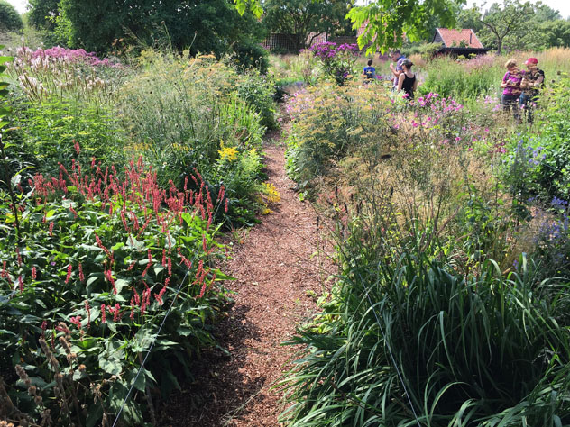 Newest garden surrounding courtyard