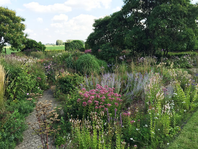 newest garden planting