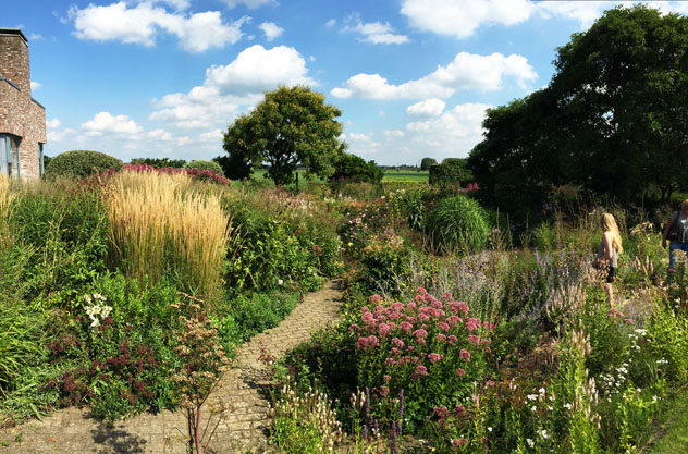 New garden plantings