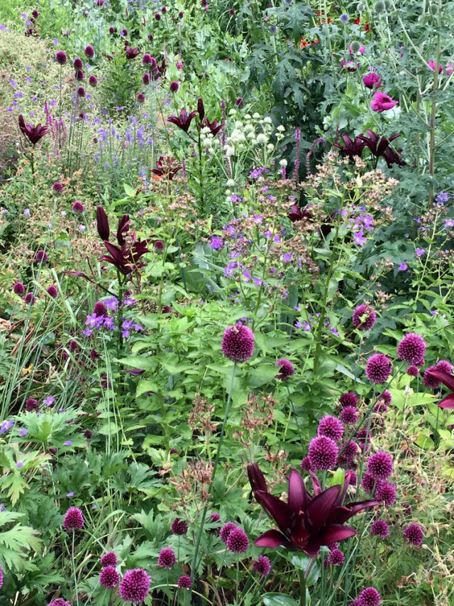 070650F1-40C6-4678-B9DF-C98EEE62B7A4