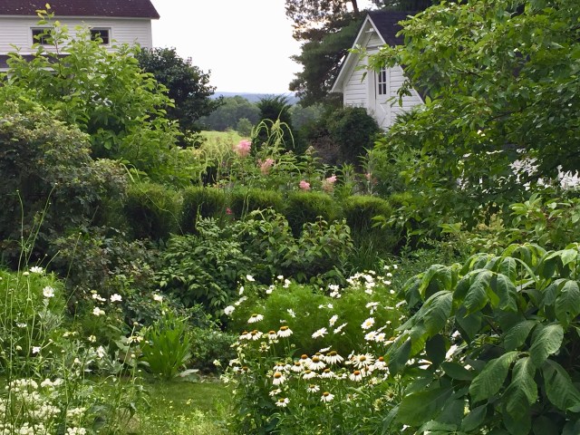 2494CD91-E15F-4963-A8CA-621FEF041394