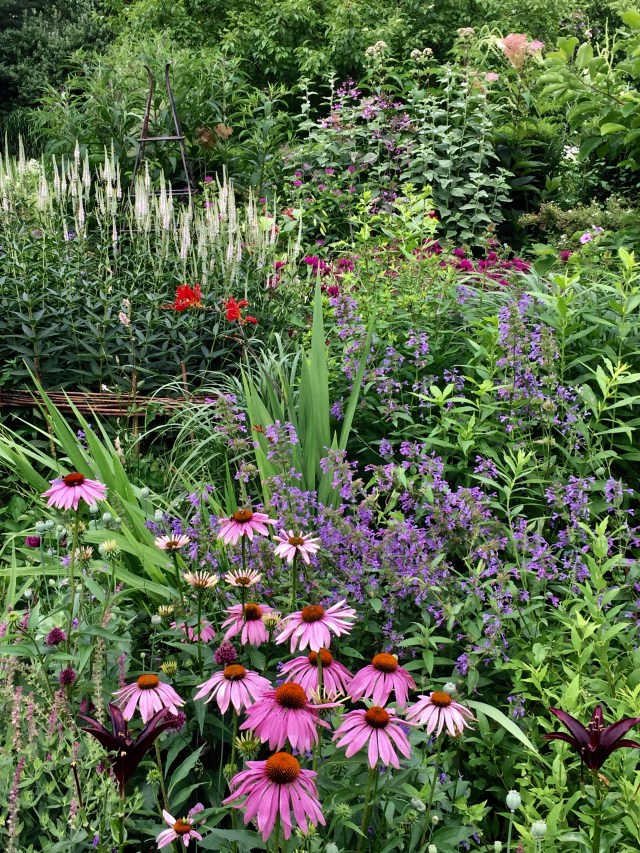 4441A102-96F9-4CB3-B3A8-978661709CAE