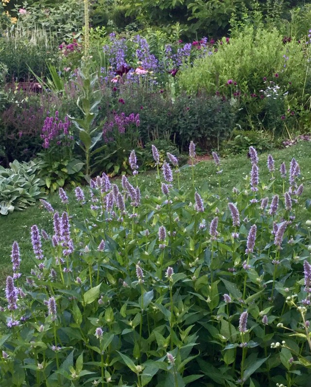 810A21D7-CBF7-419E-A71B-E1F6B0CB16A6