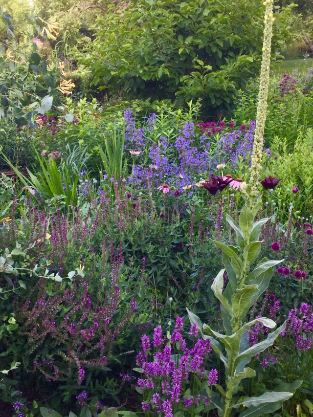 E392B94B-36F3-4A4D-84AA-2BACEB880BEB